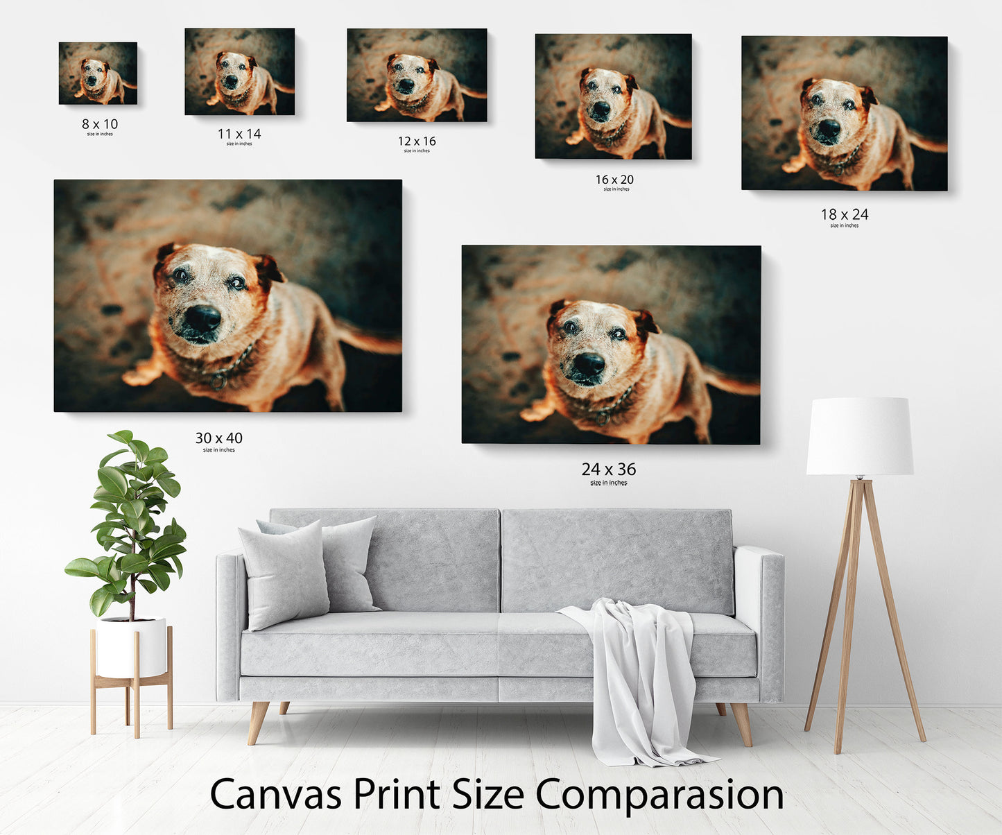 Dog photo wall canvas