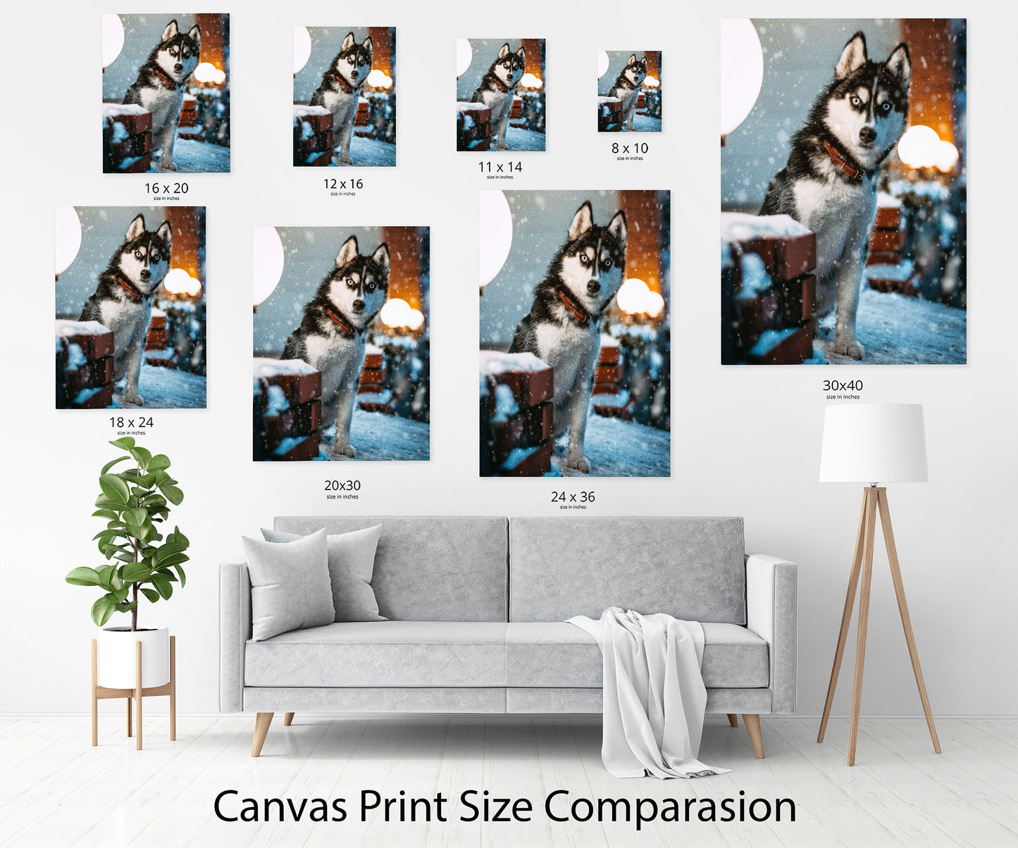 Pet photo on canvas