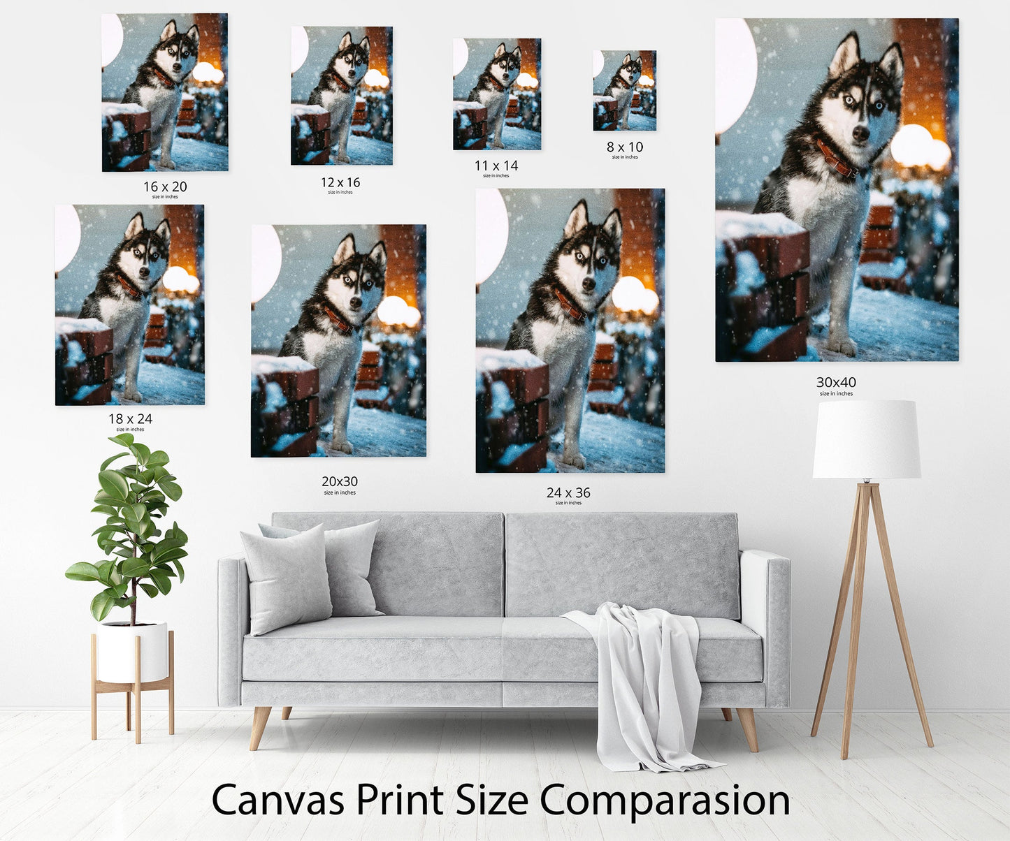 Dog photo print on canvas
